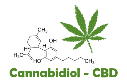 Cannabidiol - CBD